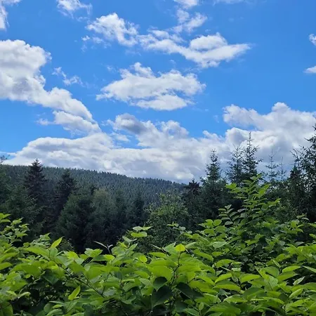 Wohlfuehl-ferienwohnung Mit Tiefgarage Im Gruenen Apartamento Oberhof (Thuringia)