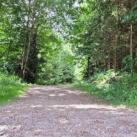 Apartamento Wohlfuehl-ferienwohnung Mit Tiefgarage Im Gruenen Oberhof (Thuringia)