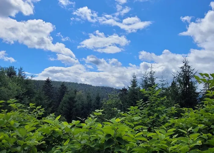 Wohlfühl-ferienwohnung Mit Tiefgarage Im Grünen Apartment Oberhof (Thuringia)