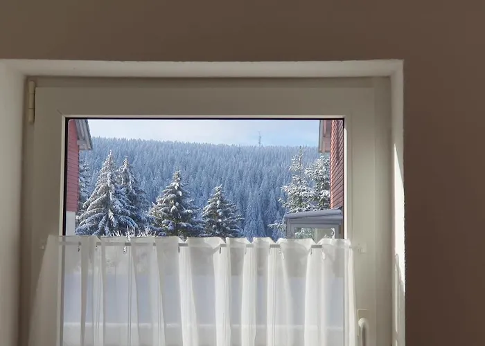 Wohlfühl-ferienwohnung Mit Tiefgarage Im Grünen Apartment