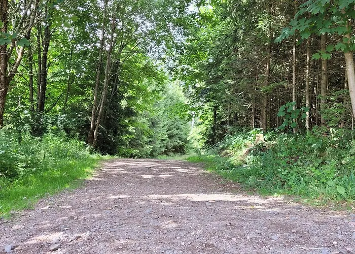 Wohlfuehl-ferienwohnung Mit Tiefgarage Im Gruenen Appartement Oberhof (Thuringia)